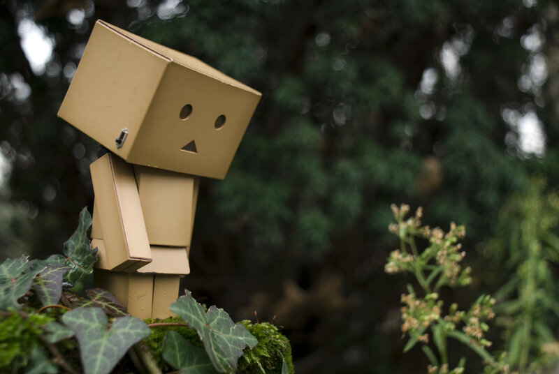 Danbo in the forest