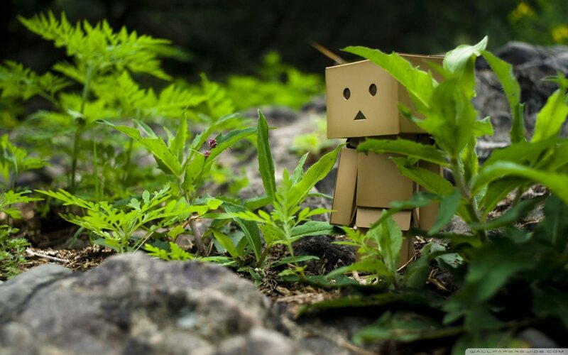 Danbo in the forest
