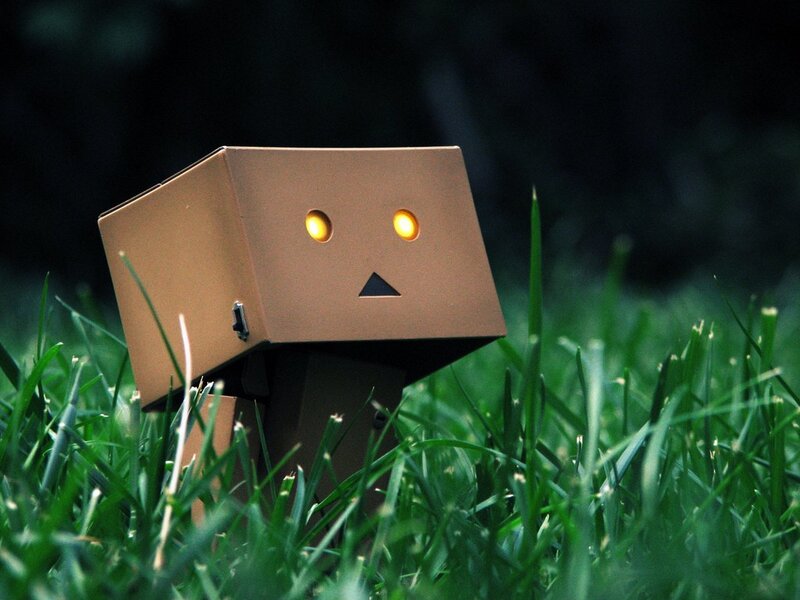 Danbo in the grass