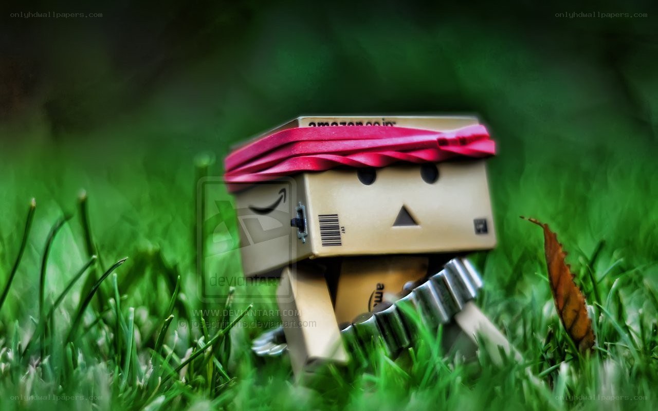 Danbo in the grass