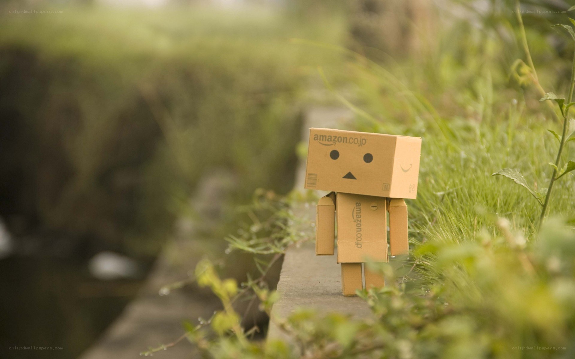Danbo in the grass