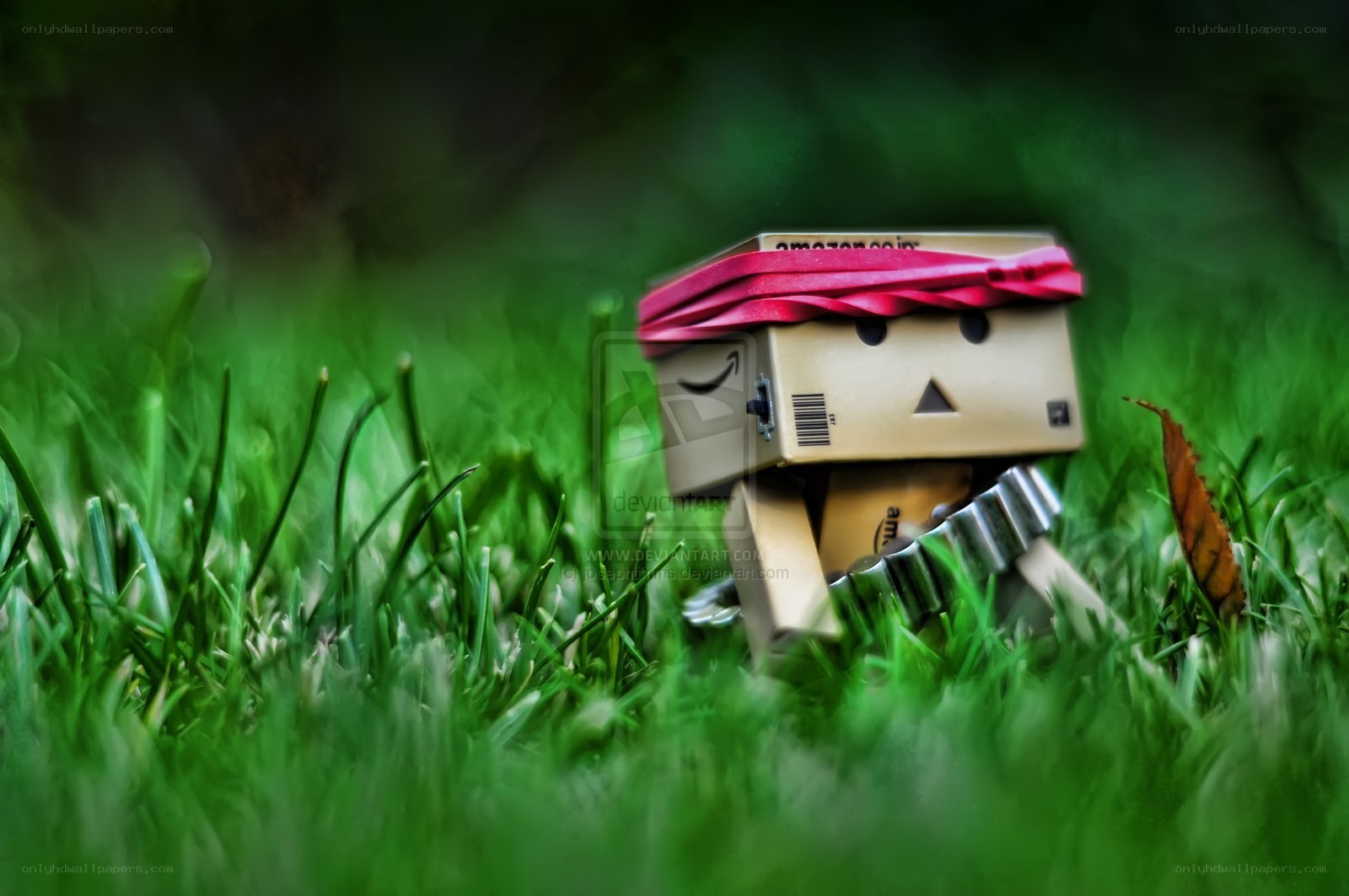 Danbo in the grass