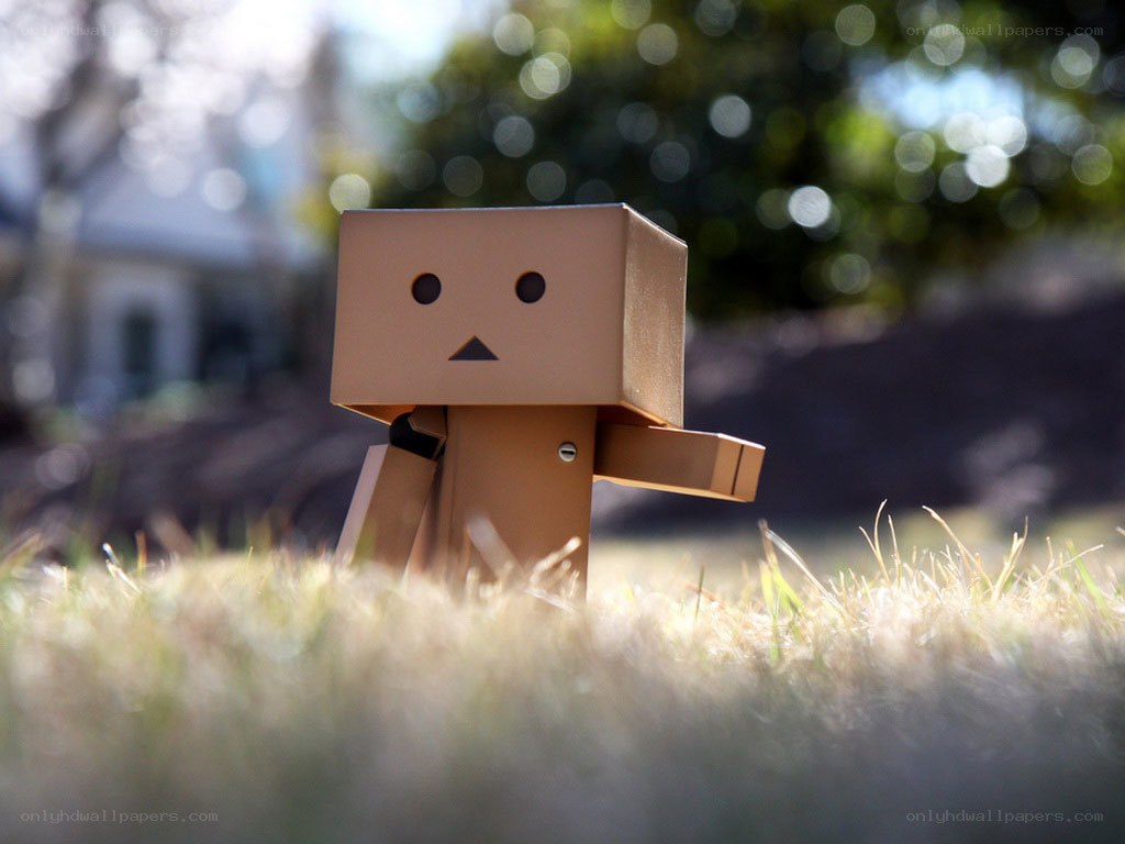 Danbo in the grass