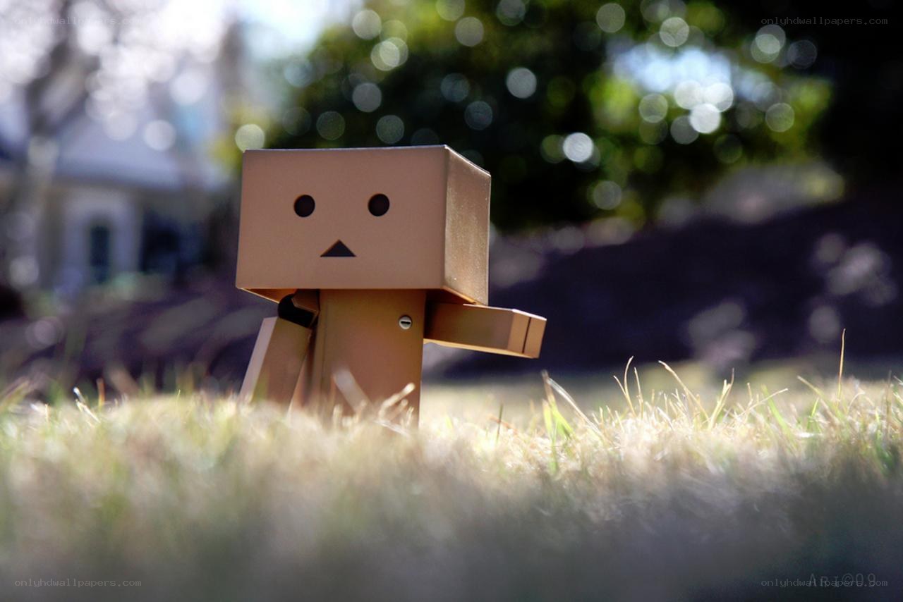 Danbo in the grass