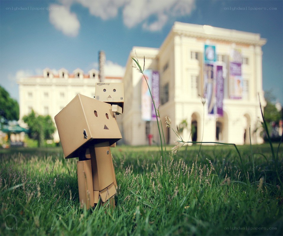 Danbo in the grass