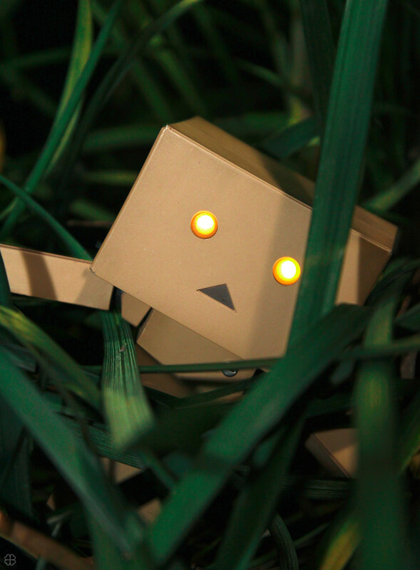 Danbo in the grass