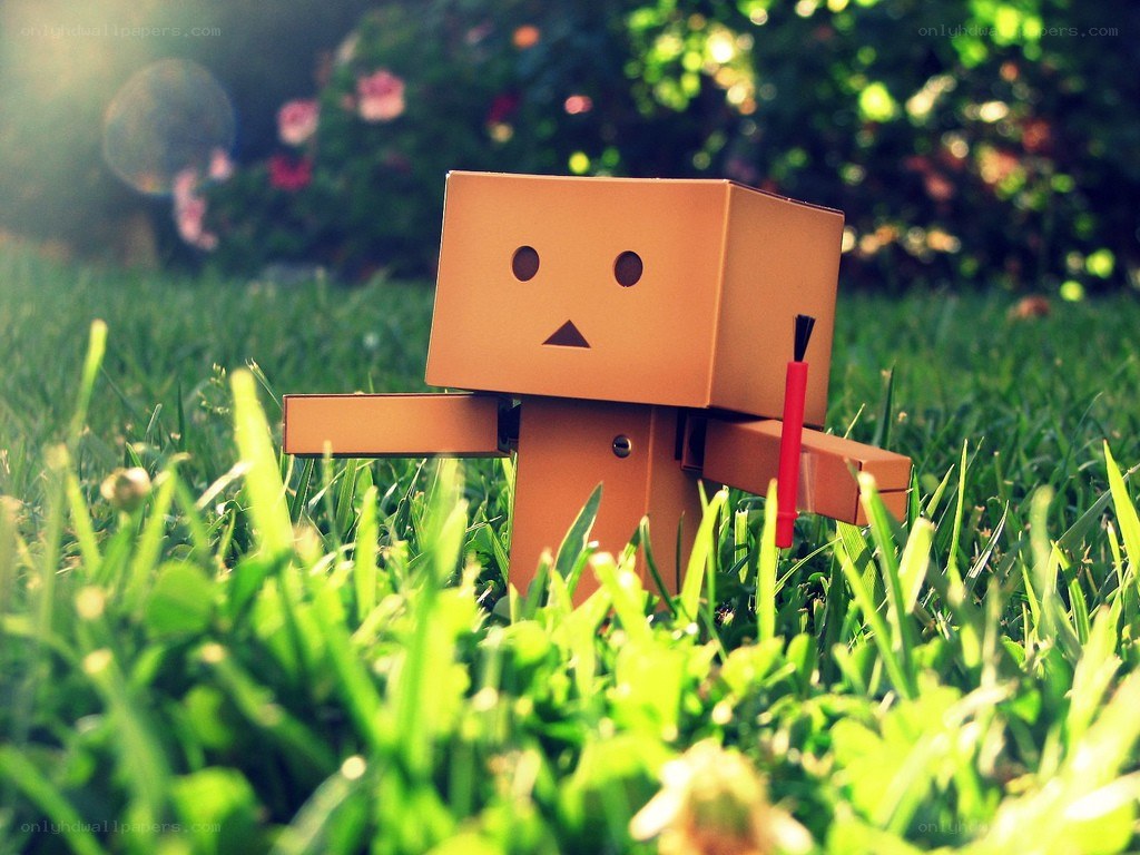 Danbo in the grass