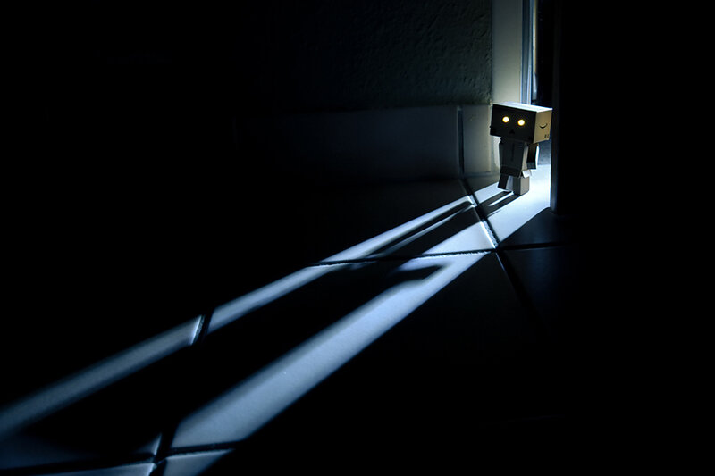 Danbo in the light