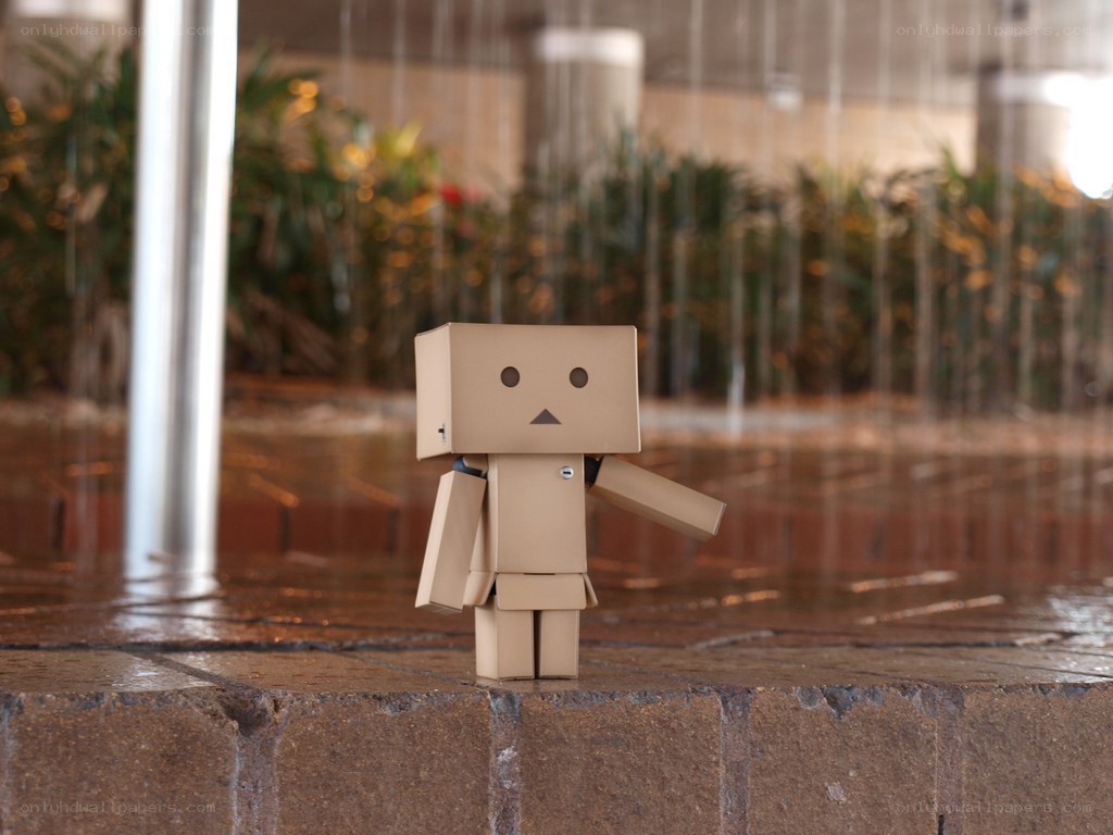 Danbo in the rain