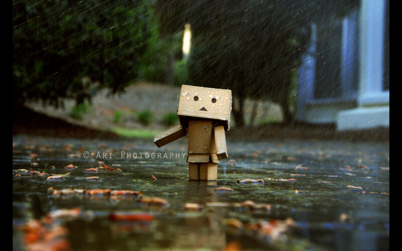 Danbo in the rain