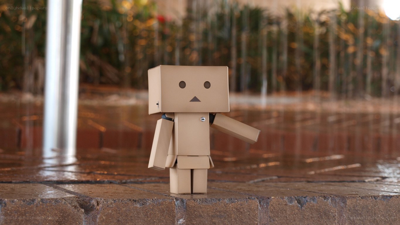 Danbo in the rain