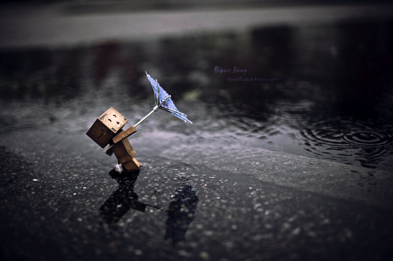 Danbo in the rain