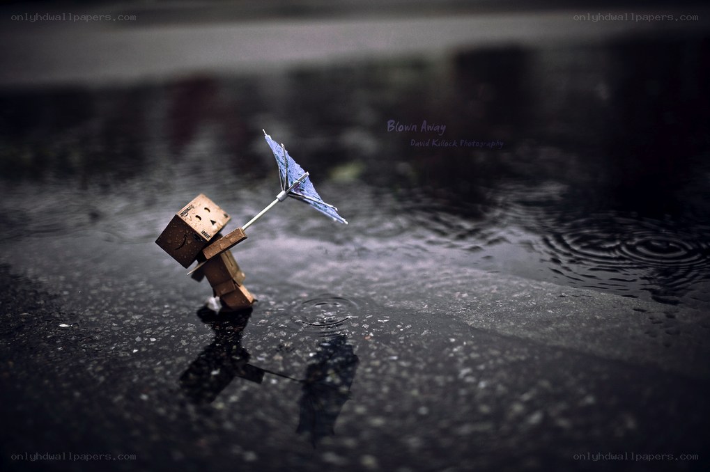 Danbo in the rain