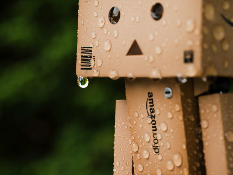 Danbo in the rain
