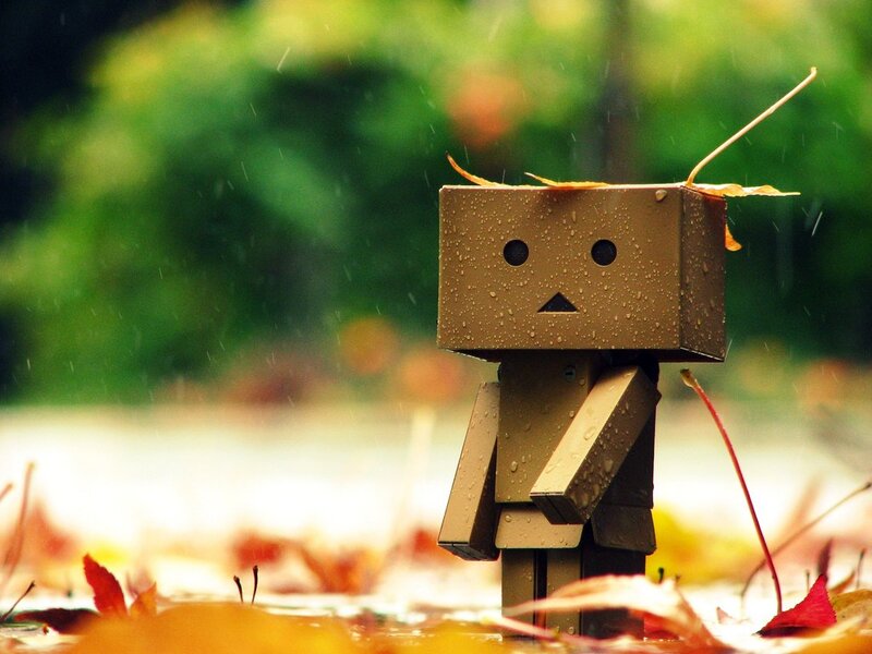 Danbo in the rain