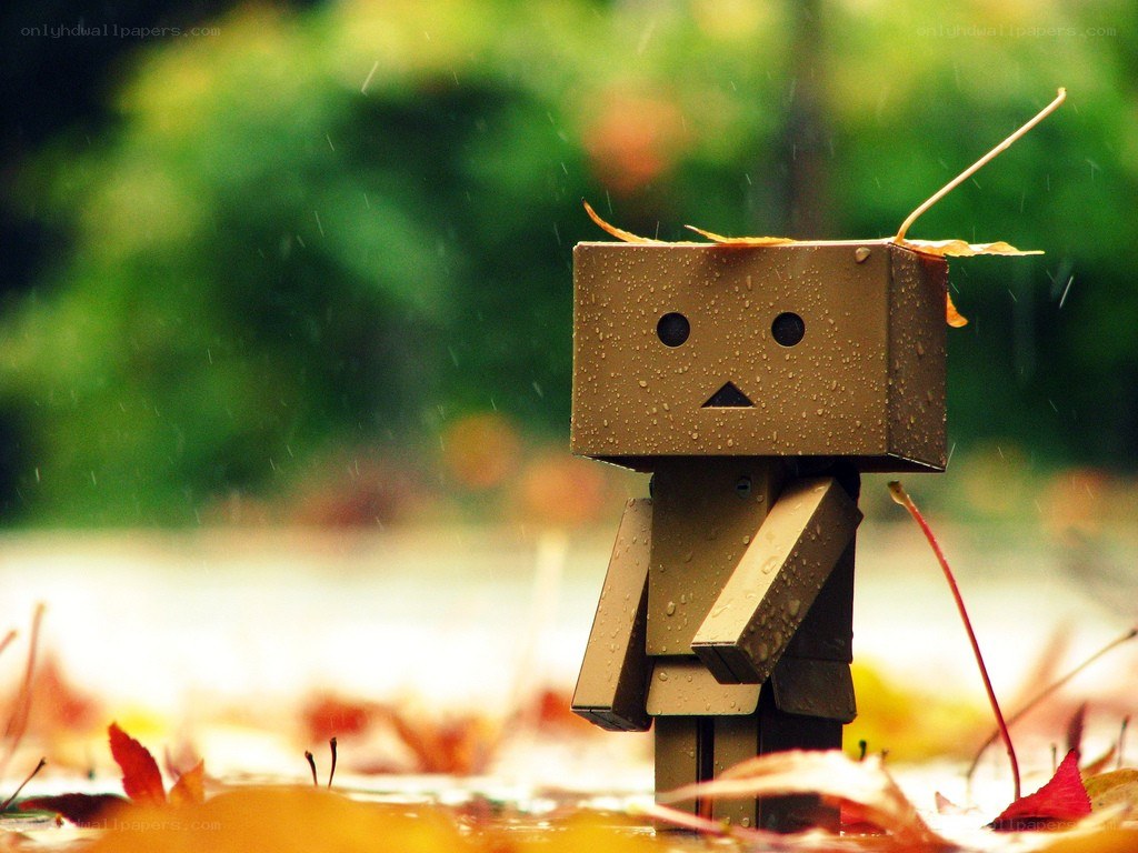 Danbo in the rain
