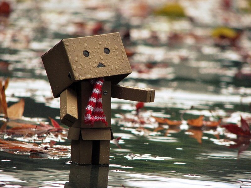 Danbo in the rain