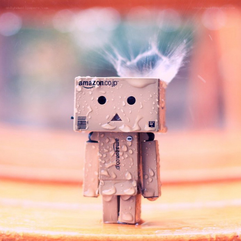 Danbo in the rain