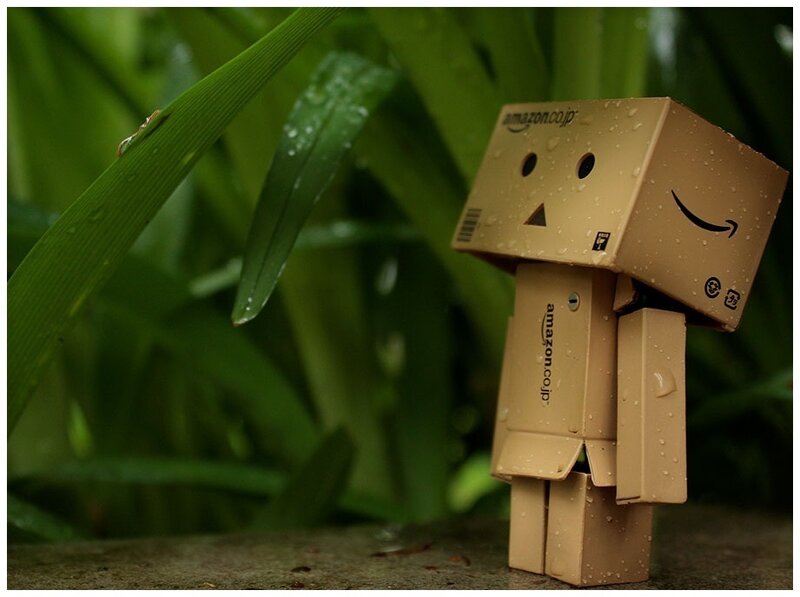 Danbo in the rain