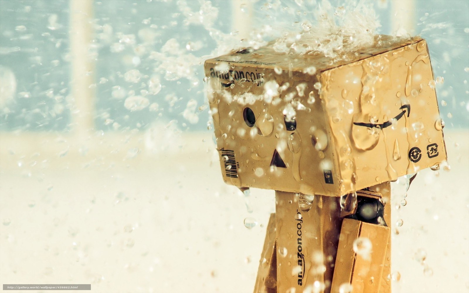 Danbo in the rain