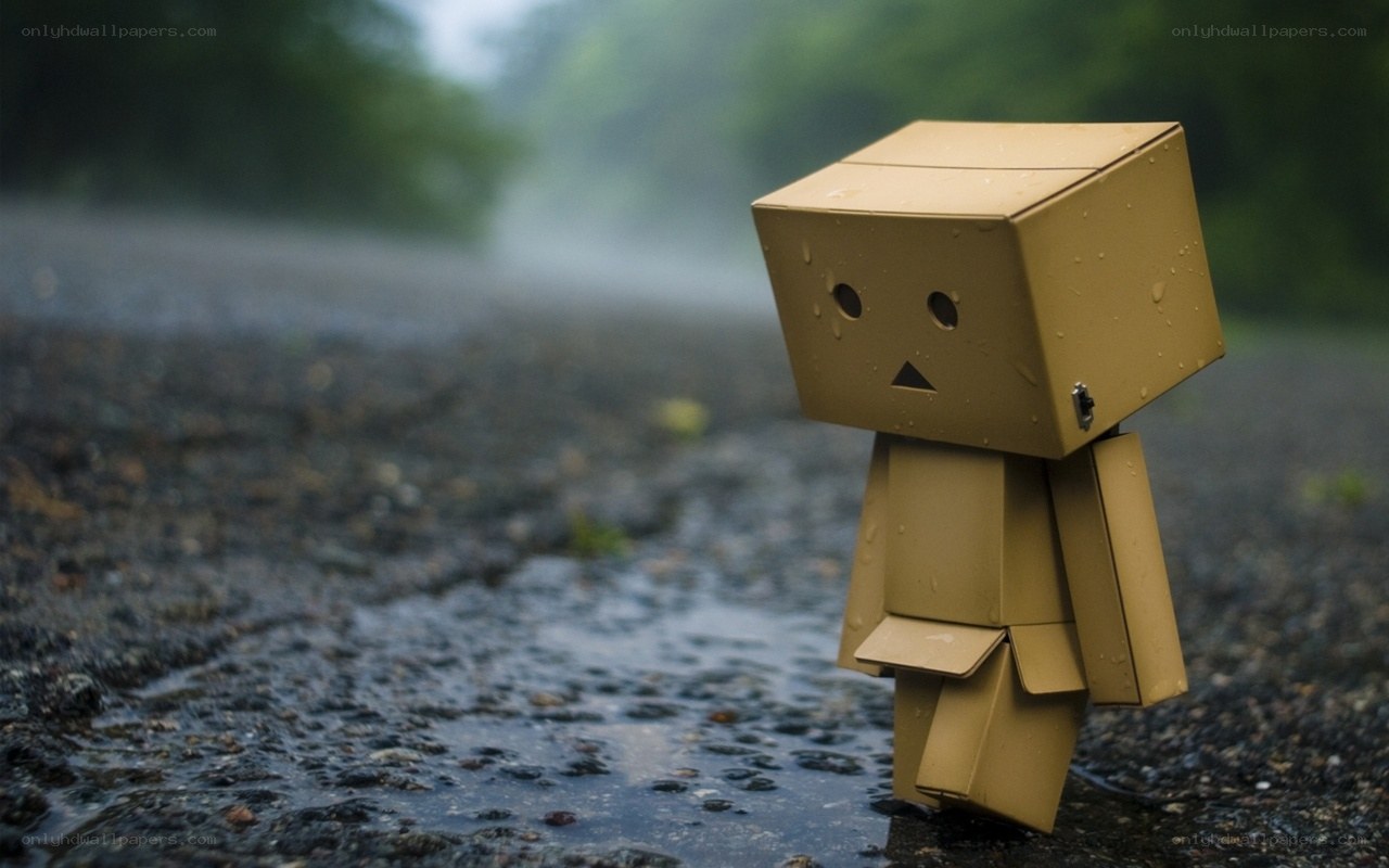 Danbo in the rain