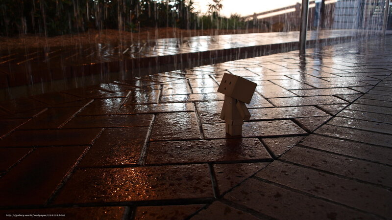 Danbo in the rain