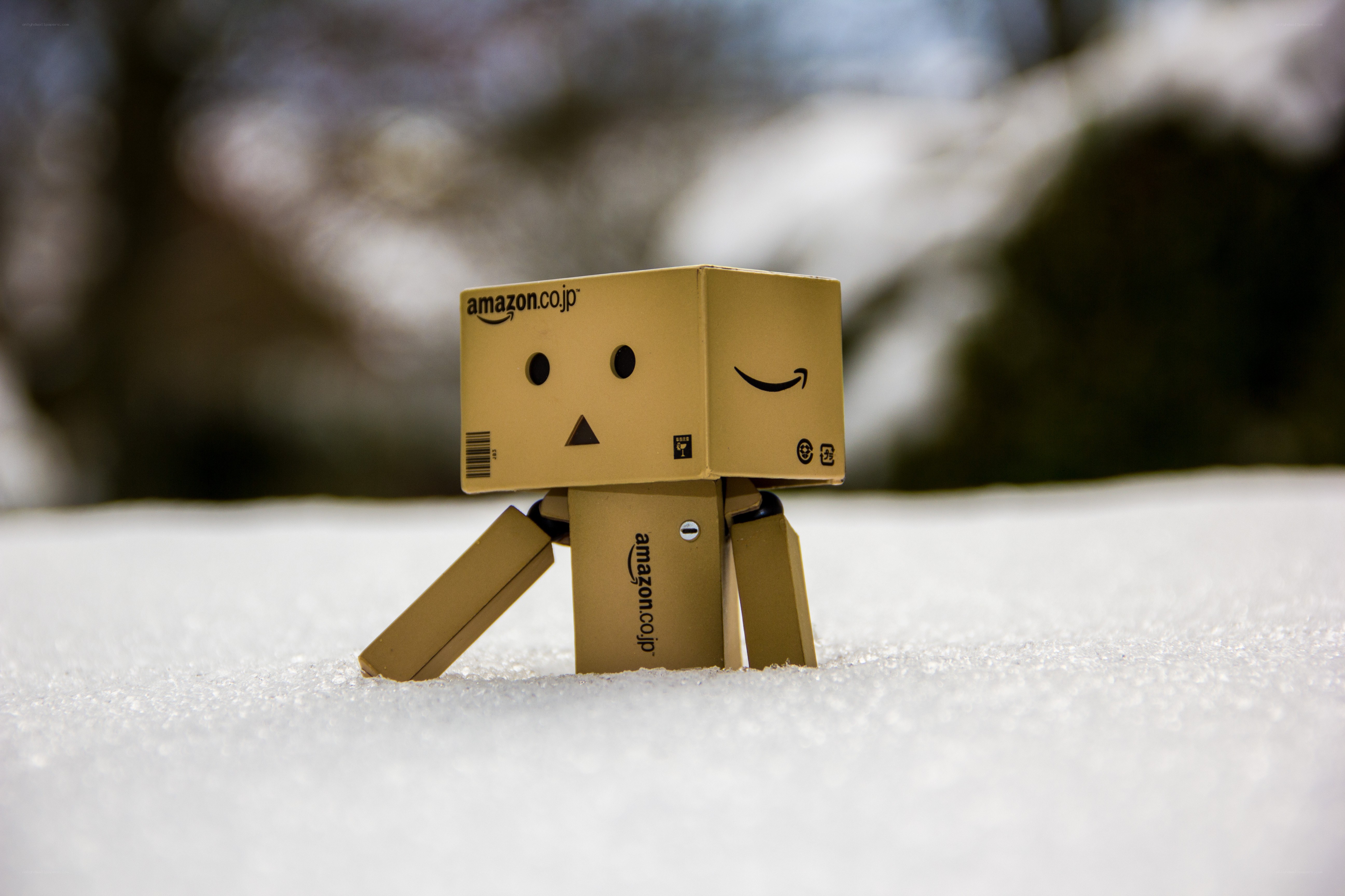 Danbo in the snow