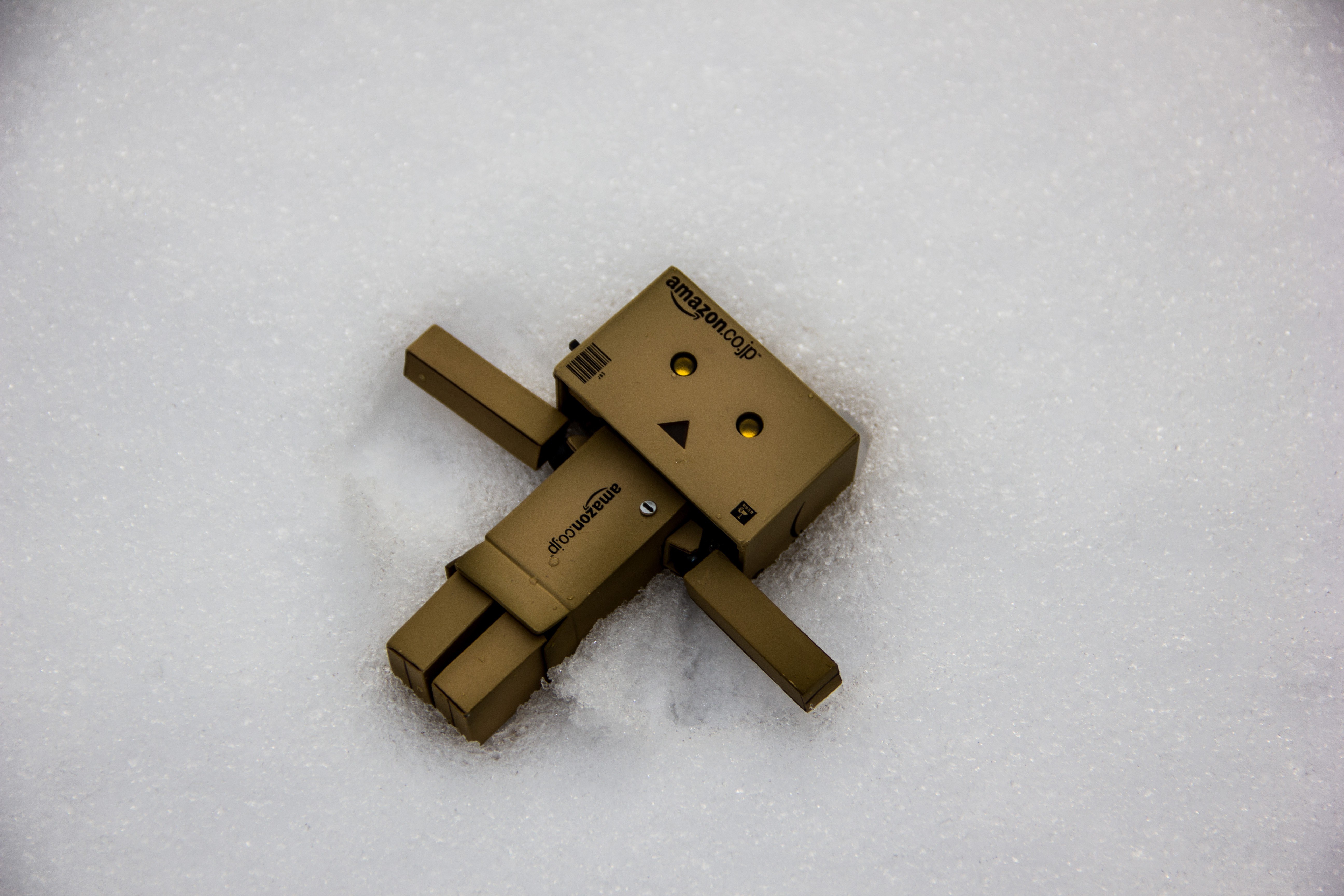 Danbo in the snow