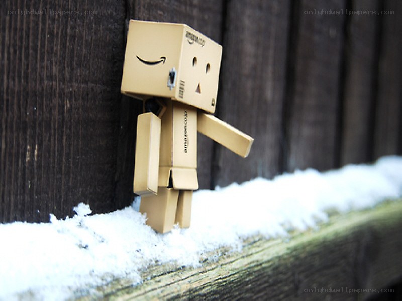 Danbo in the snow
