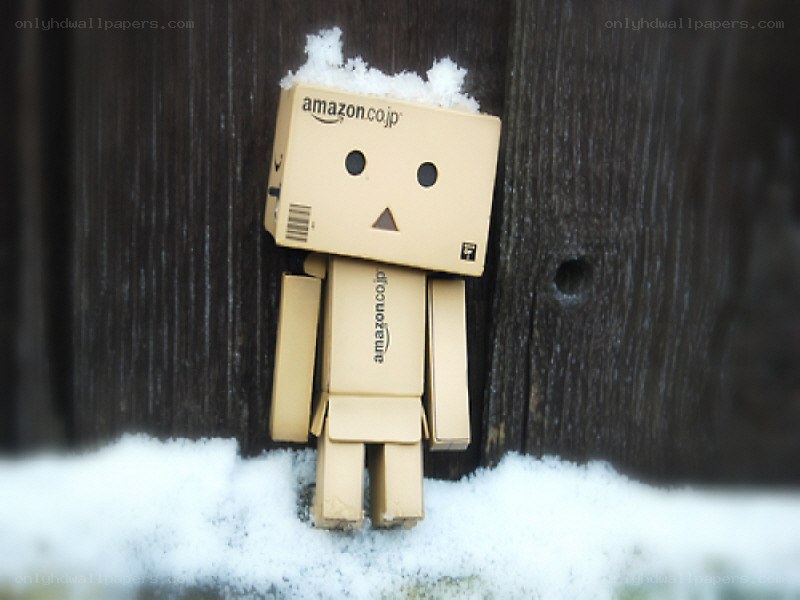 Danbo in the snow