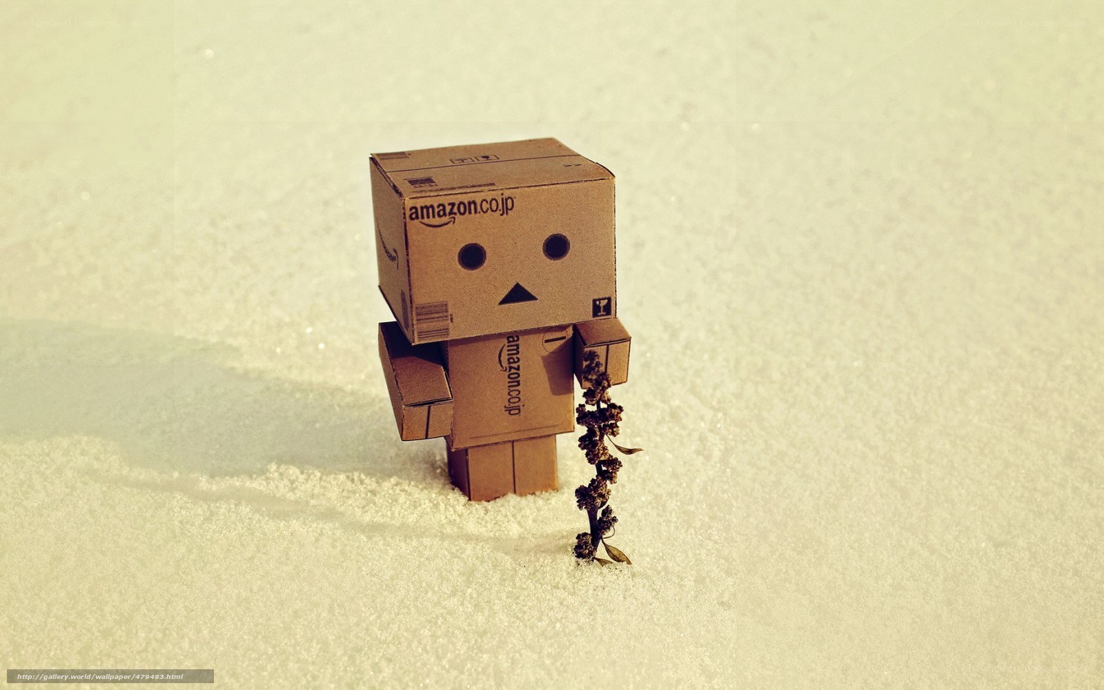 Danbo in the snow