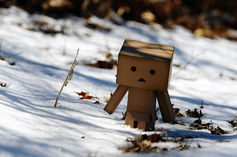 Danbo in the snow