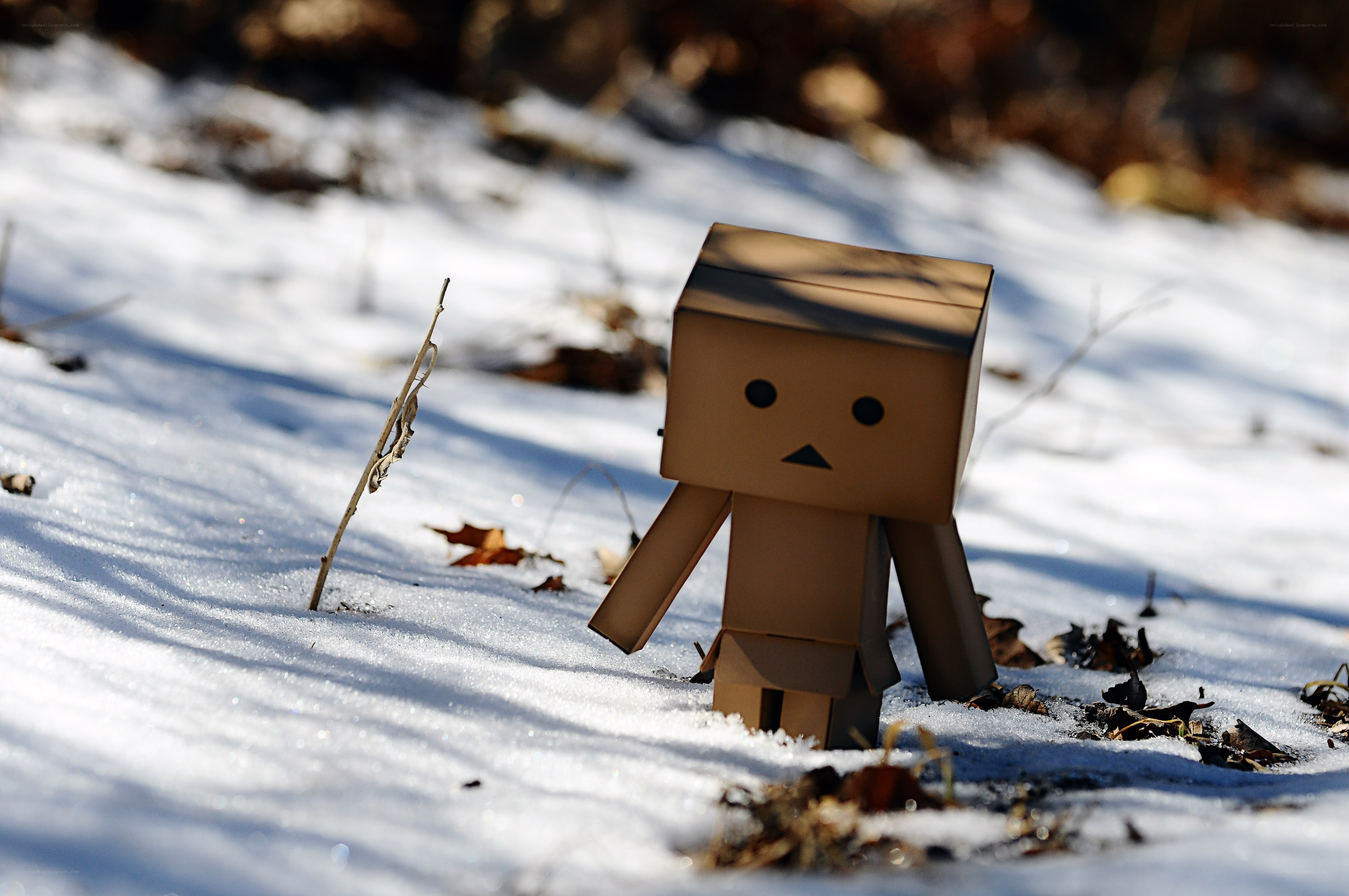 Danbo in the snow