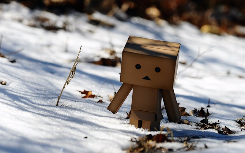 Danbo in the snow