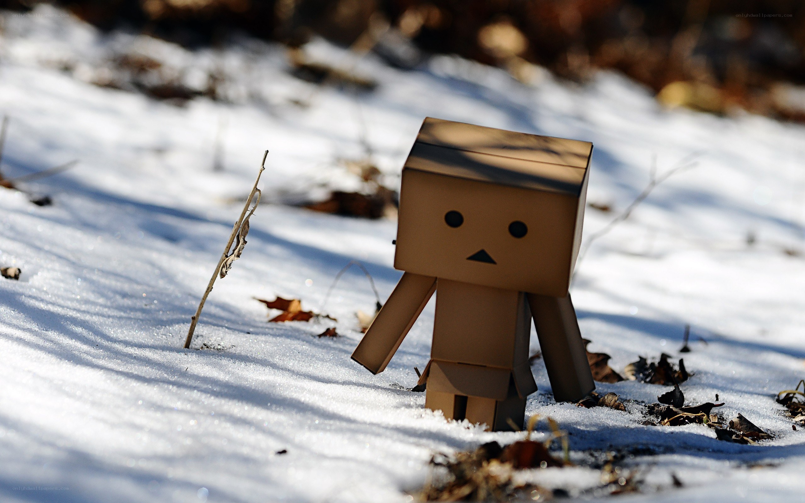 Danbo in the snow