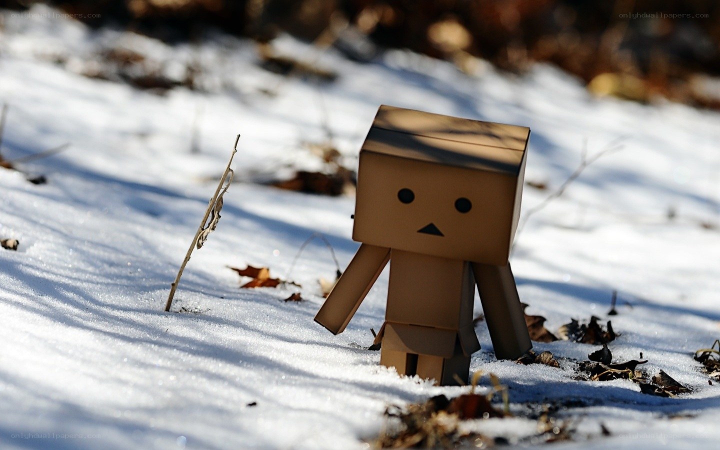 Danbo in the snow