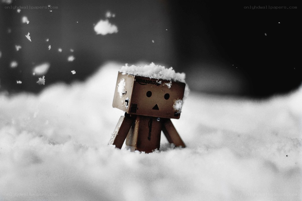 Danbo in the snow
