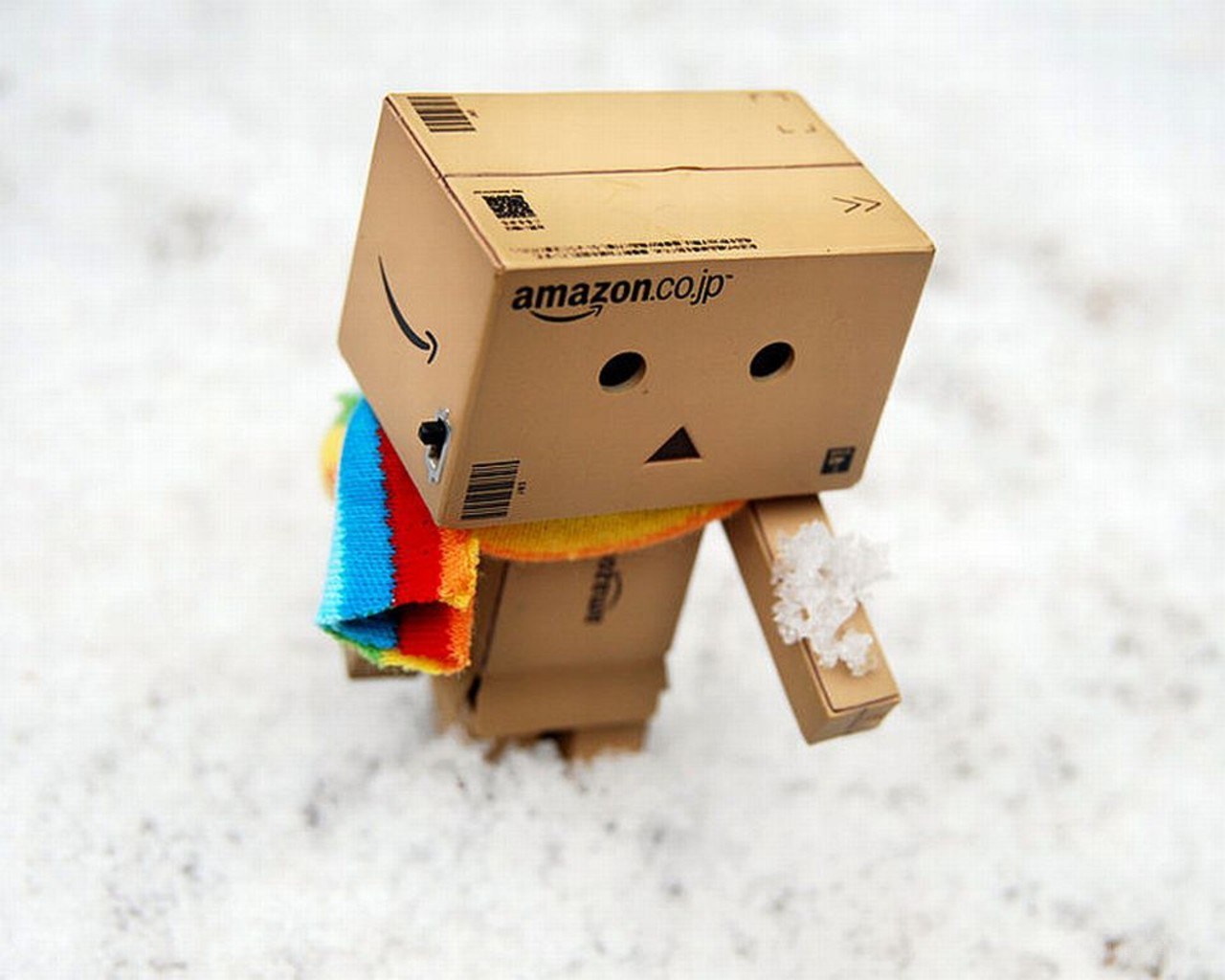 Danbo in the snow