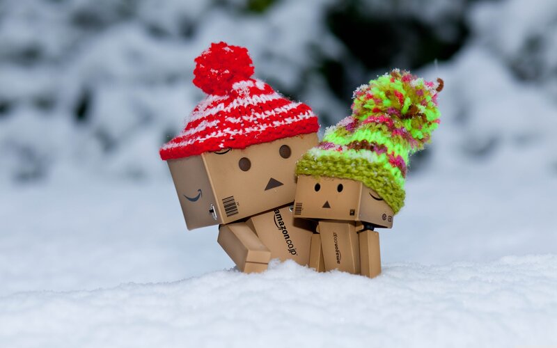 Danbo in the snow