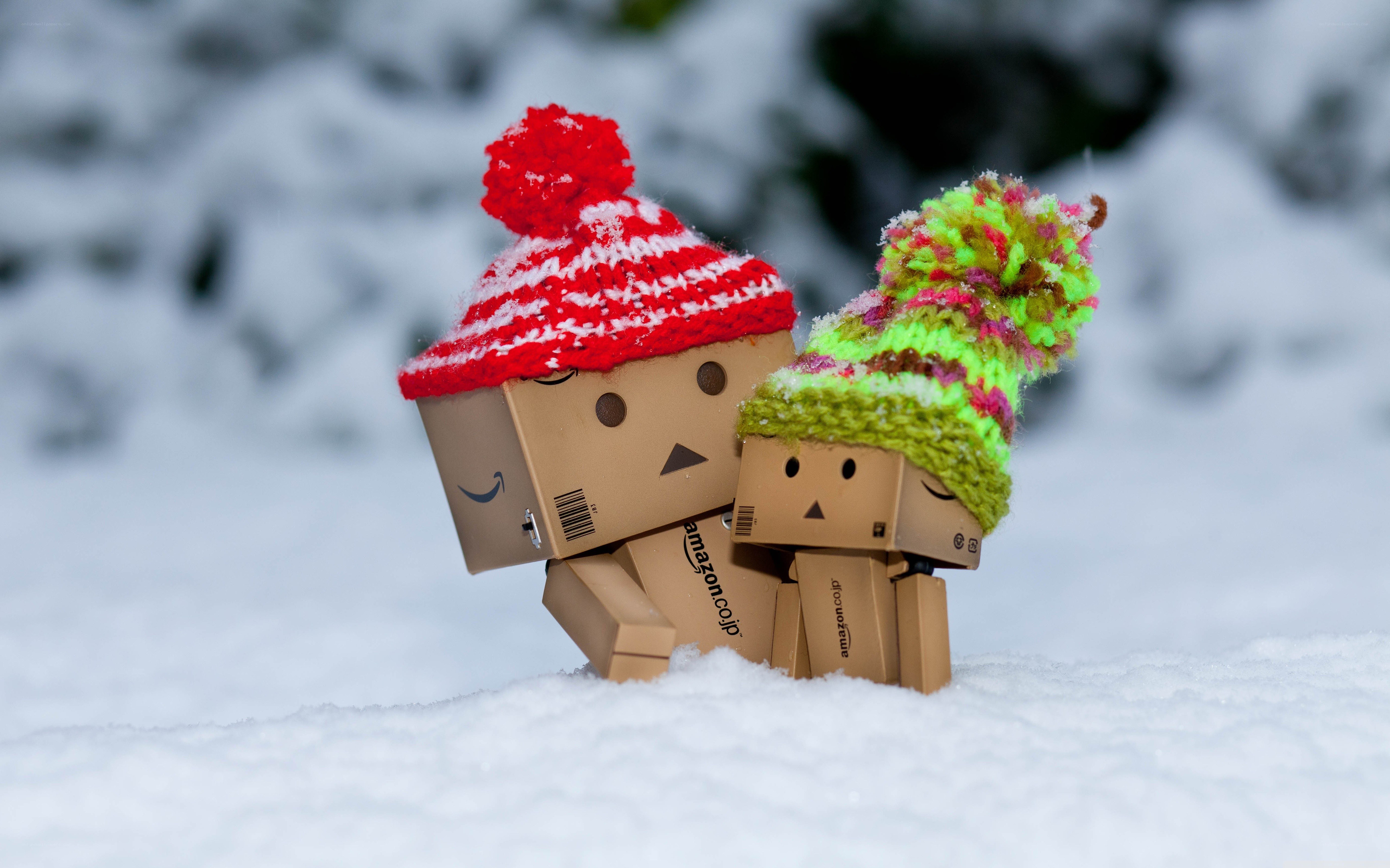 Danbo in the snow