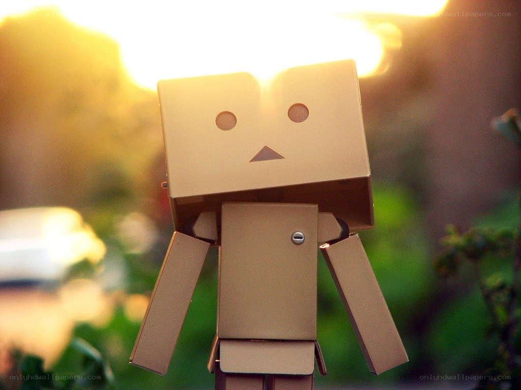 Danbo in the sunlight