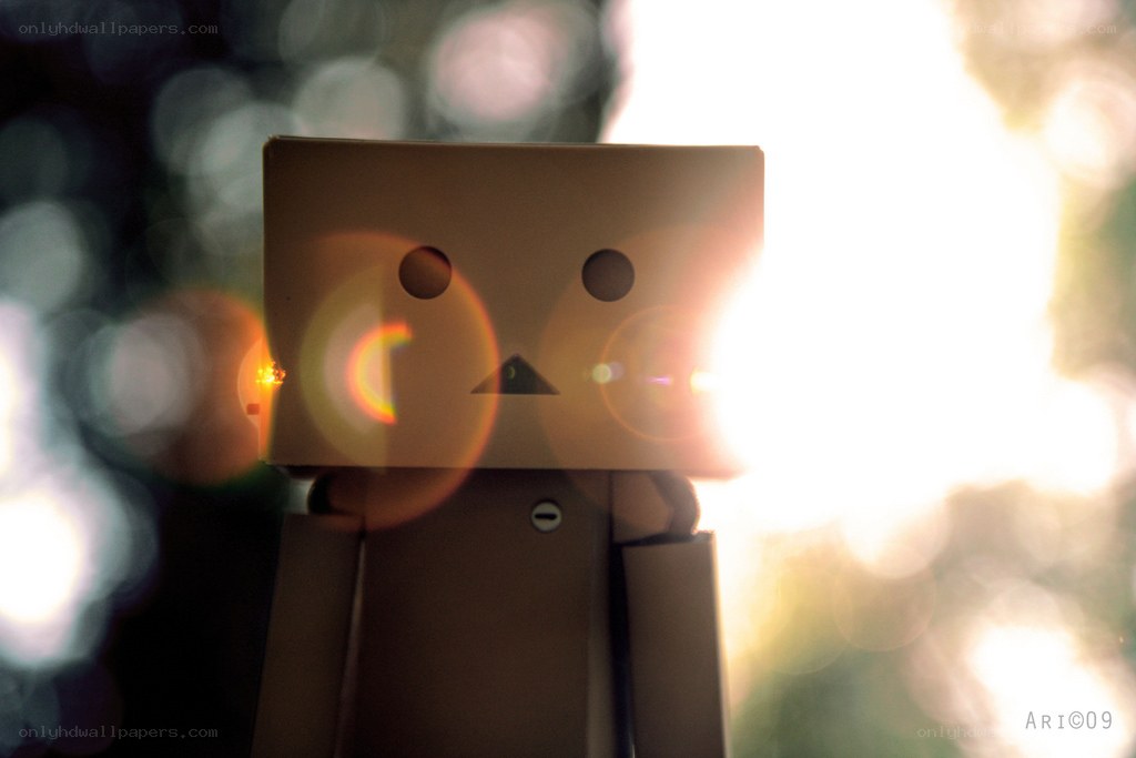 Danbo in the sunlight