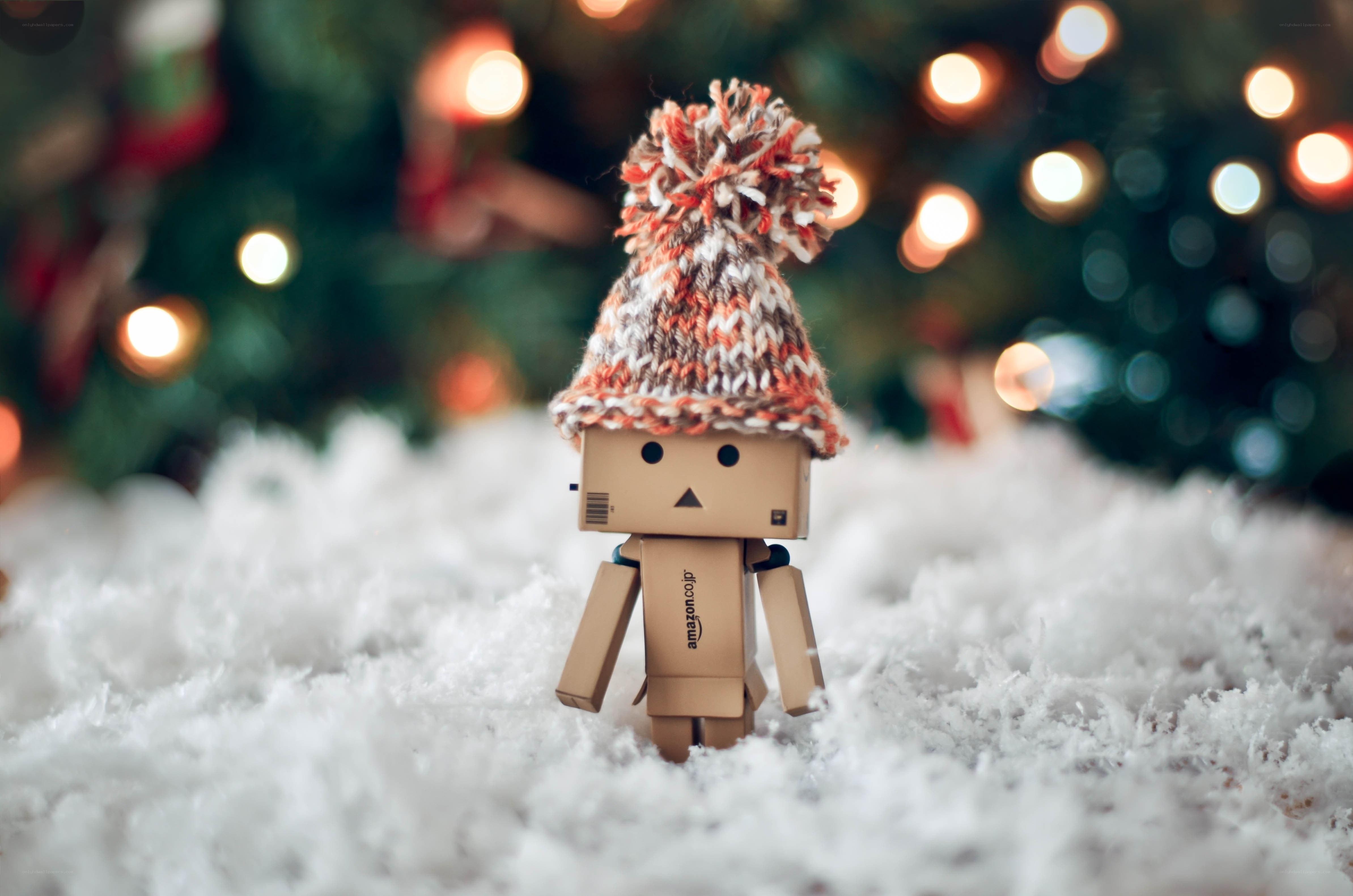 Danbo in winter hat