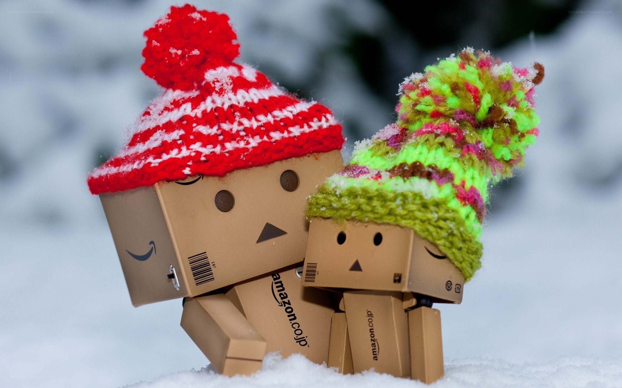 Danbo in winter hats
