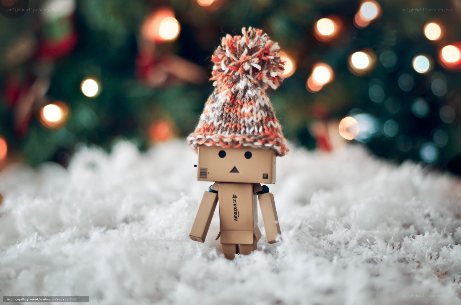 Danbo in winter snow