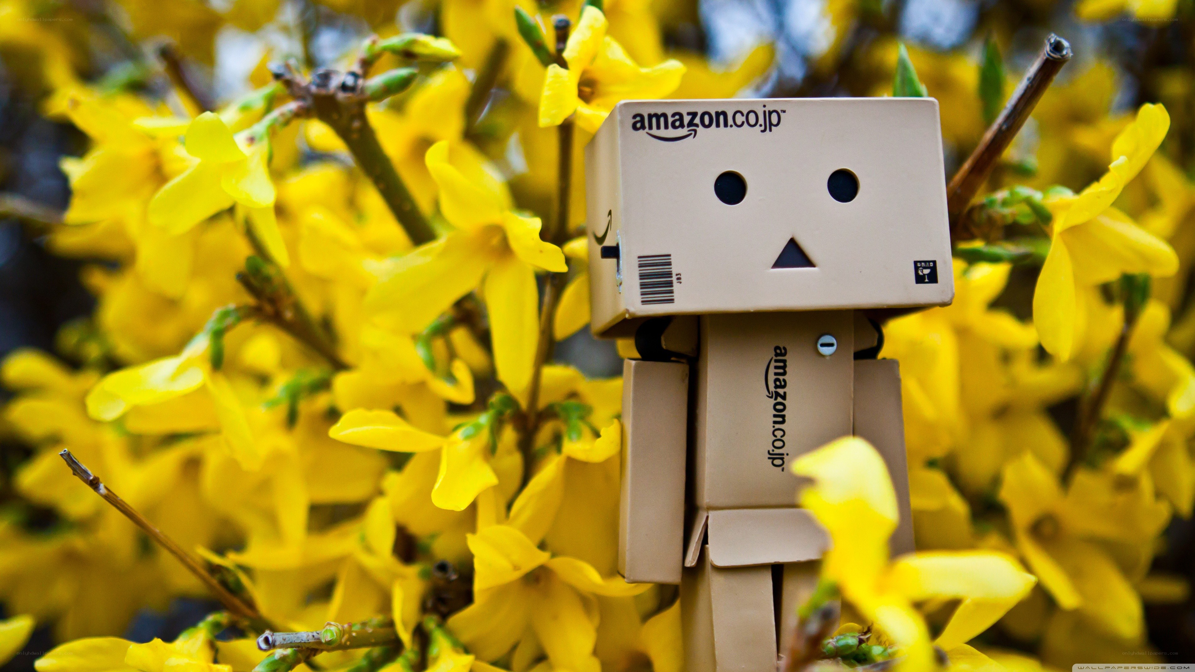 Danbo in yellow flowers