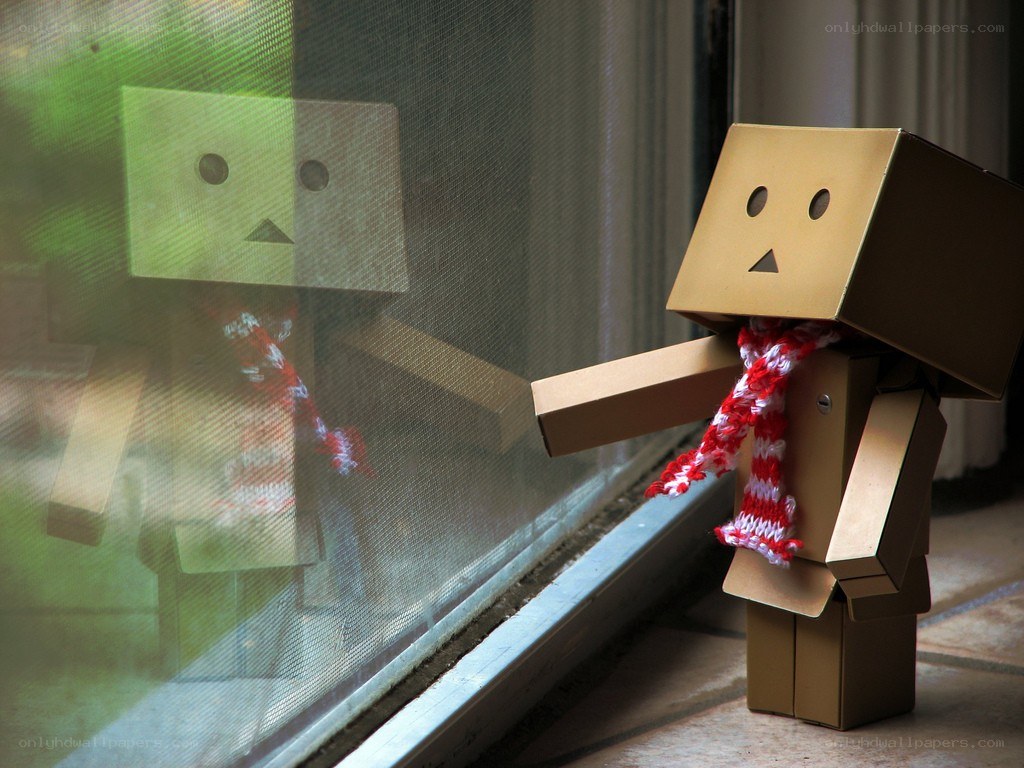 Danbo looking out the window