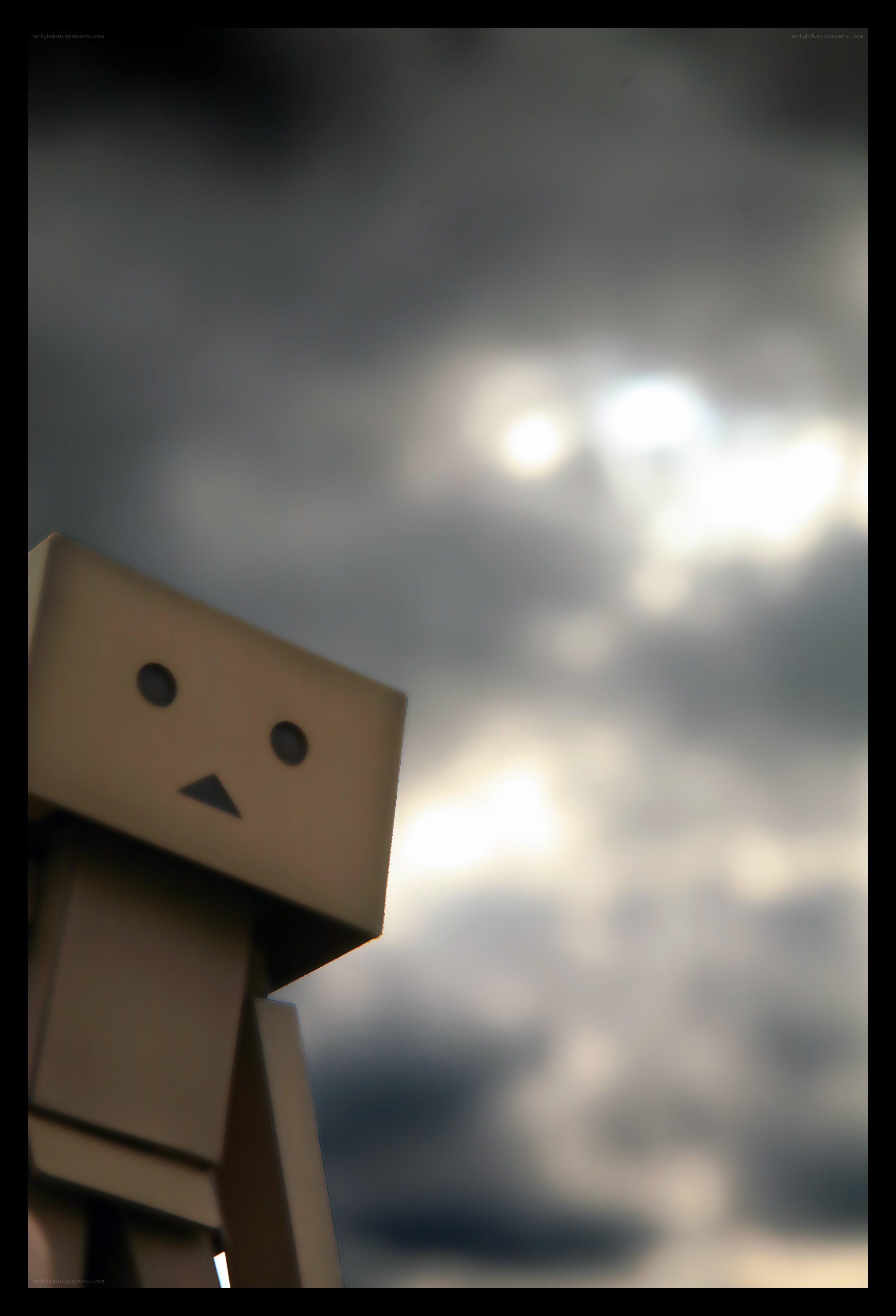 Danbo looks at the sky
