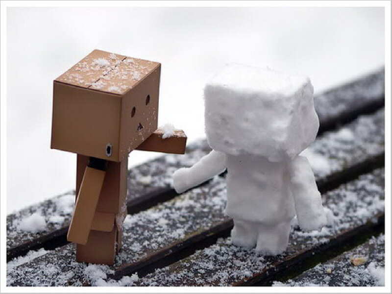 Danbo meets a snowman