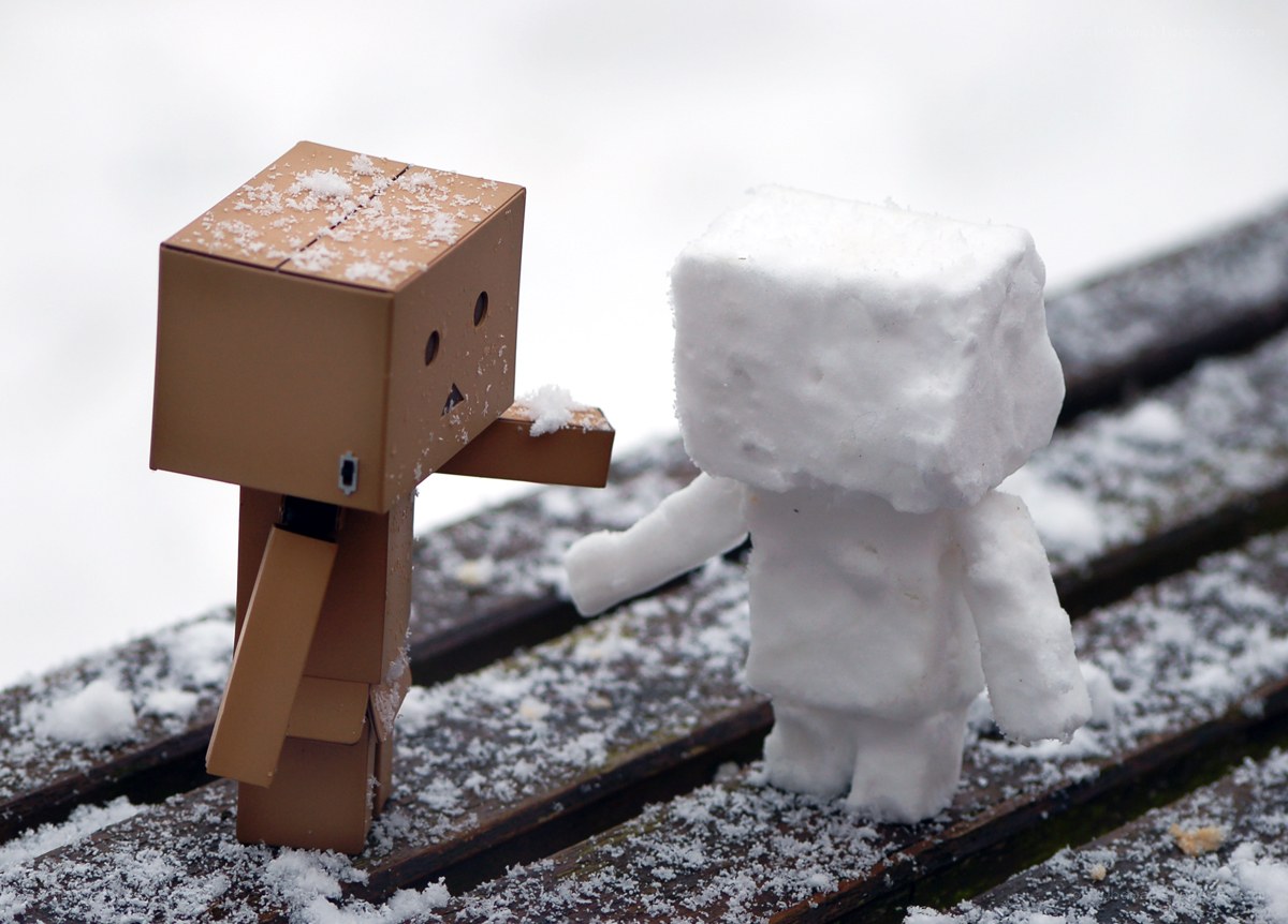 Danbo meets snowman